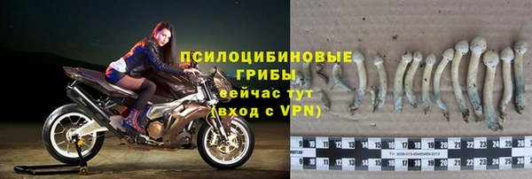 круглые Осинники