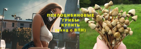 винт Богданович