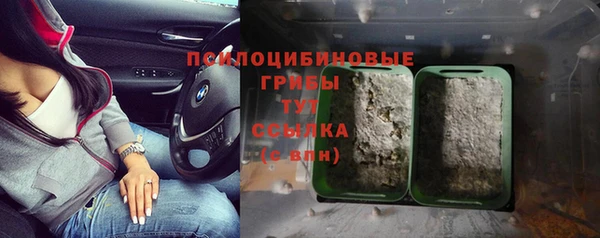 винт Богданович